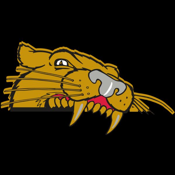 AR COUGAR 73 RC Thumbnail