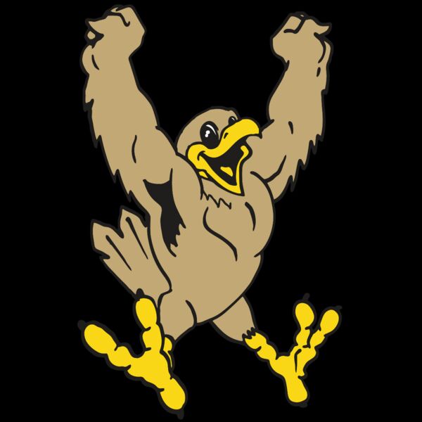 AR EAGLE 21 RC Thumbnail