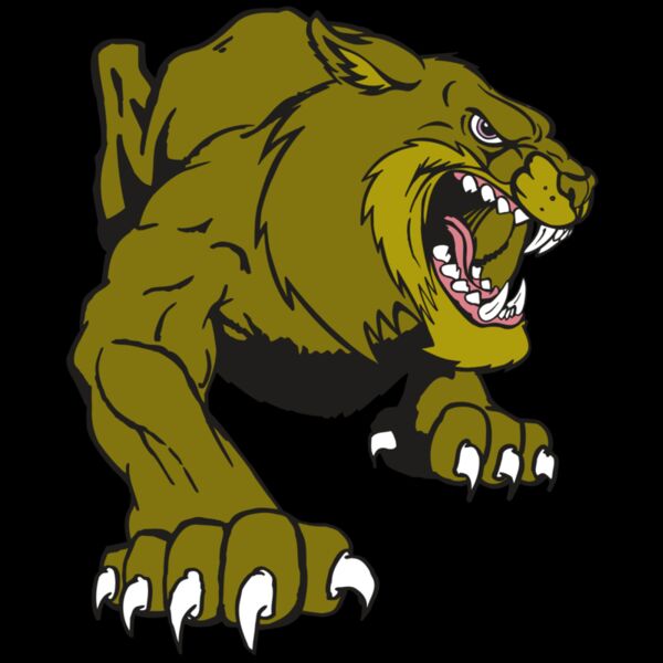 AR5 BOBCAT 24 RQC Thumbnail