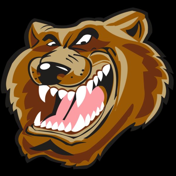 BEAR HD0503 RQC Thumbnail