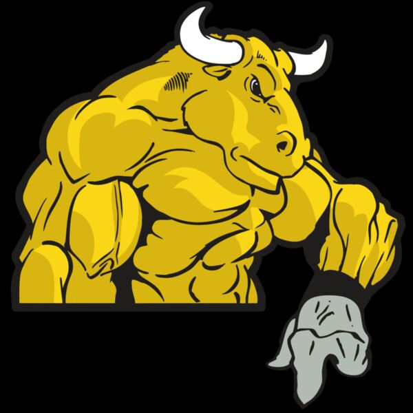 AR BULL 13 RC Thumbnail